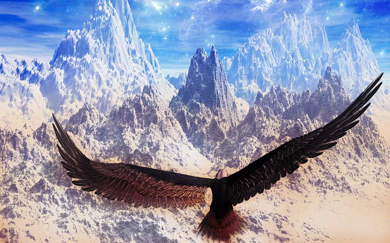 prophetic-eagle
